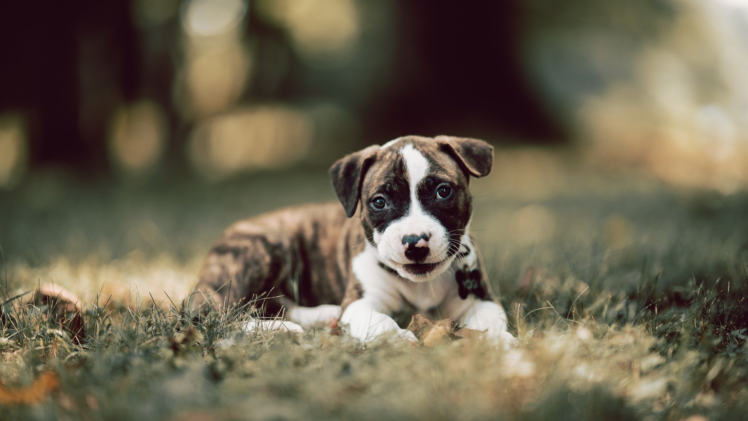 【精彩逆转】一场比赛中两次逆转引爆全场，体育比赛逆转