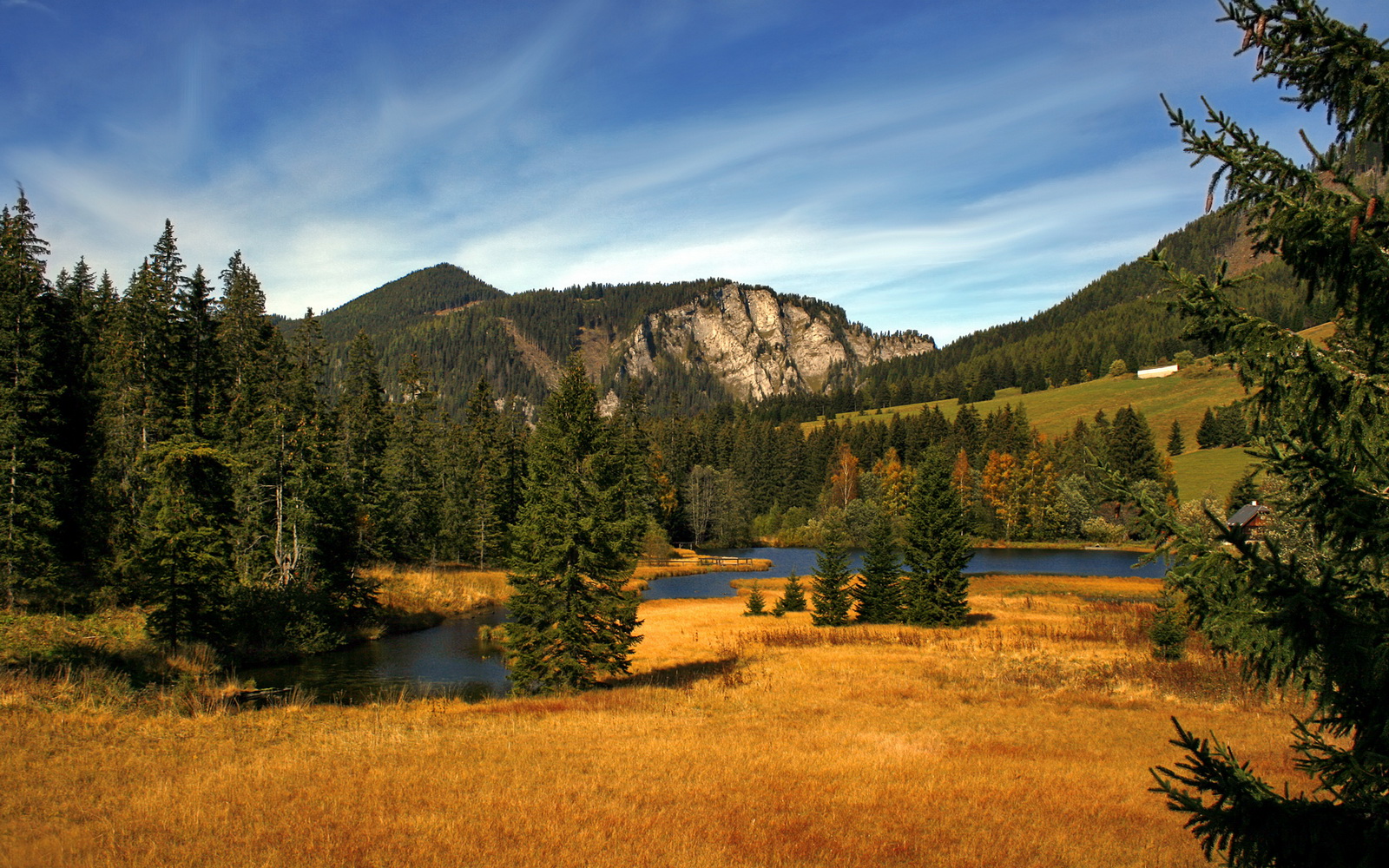 爱游戏app-_火箭逐渐回暖，冲刺季后赛已在路上_，火箭比赛复播