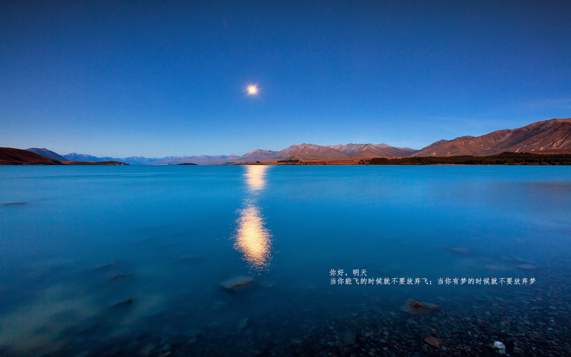 AYX体育-“德甲激烈角逐，冠军之争逐日明朗”，德甲冠名