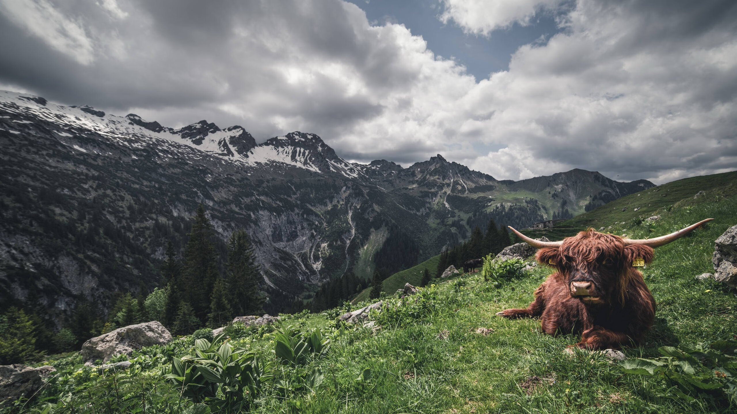 《Hope:年轻天才,开启电竞新篇章》