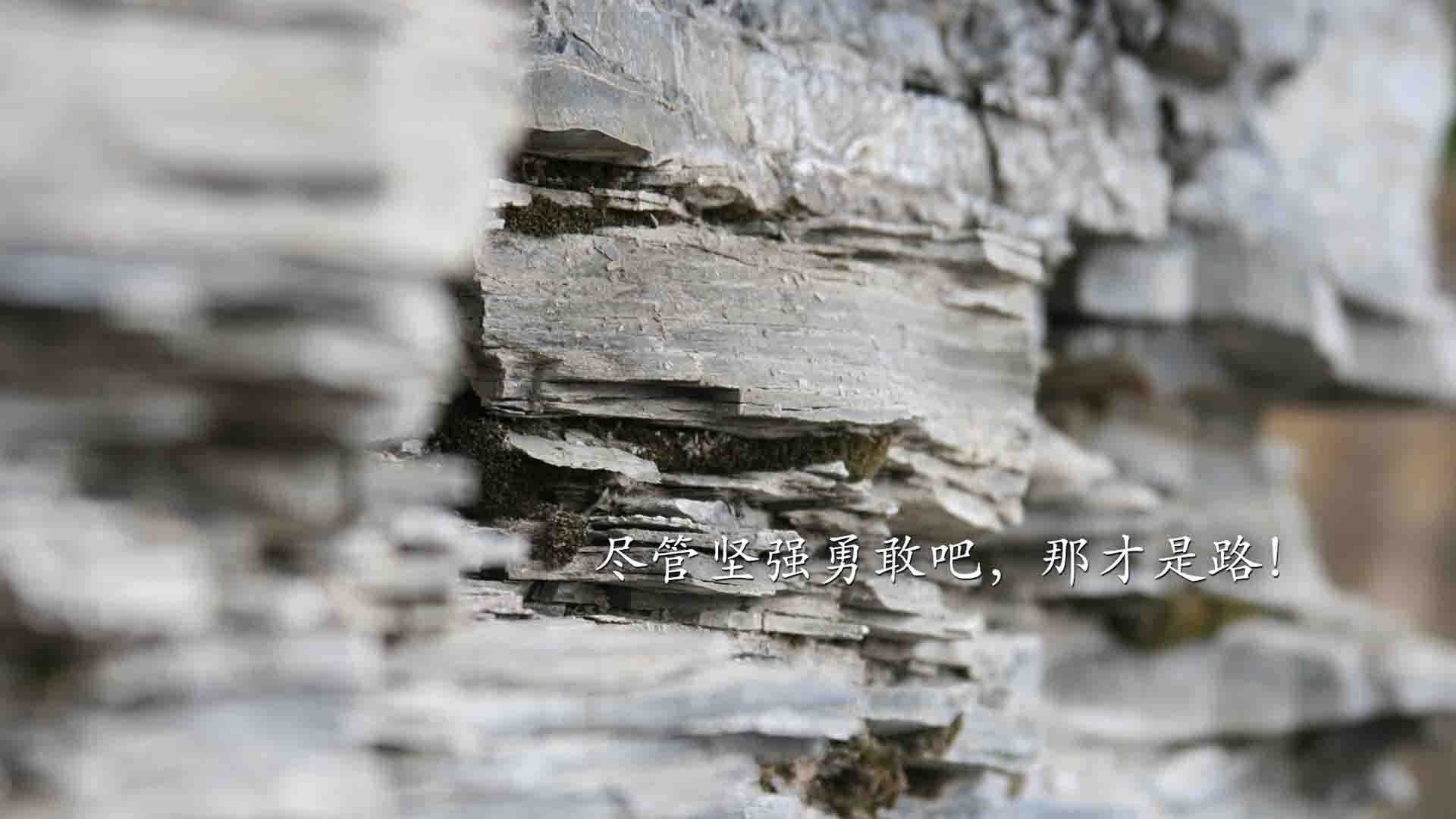 利物浦锋线集火,展现超强得分能力,利物浦分析