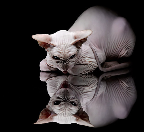 【精妙布局】顶尖运动员摆出极难破解的球路，运球突破脚步