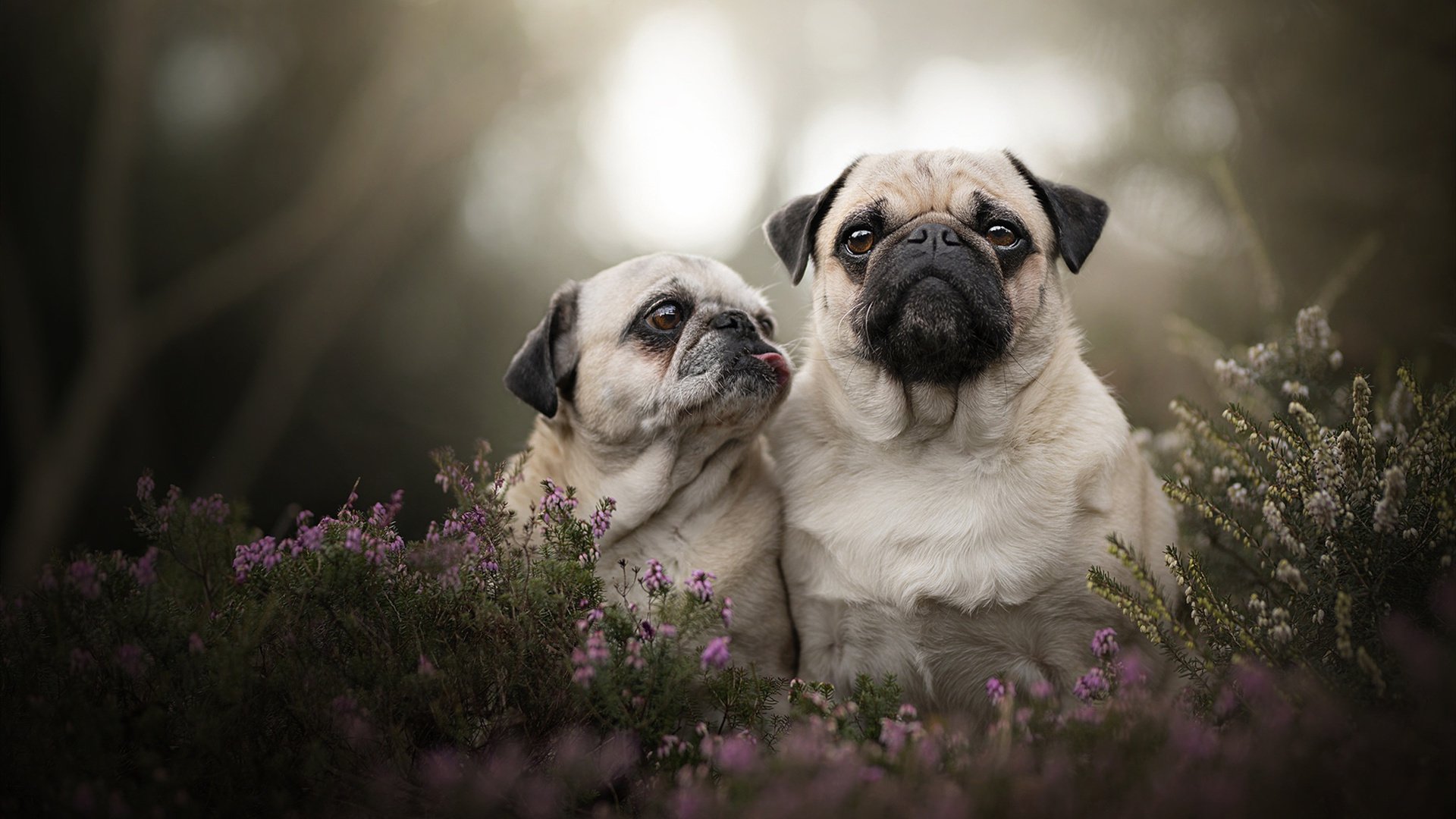 传统硬件巨头纷纷布局电竞,推动行业创新发展,传统电竞服务有哪些