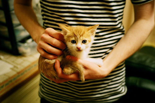 意甲不断扩大国际合作,开拓全球市场,意甲引援