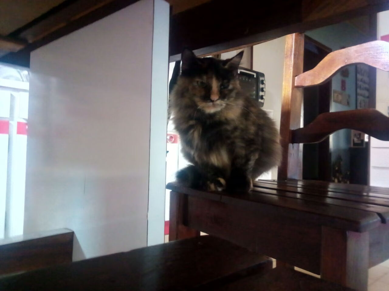 摩纳哥攻势凶猛,冲击未来更高阶段,摩纳哥v4