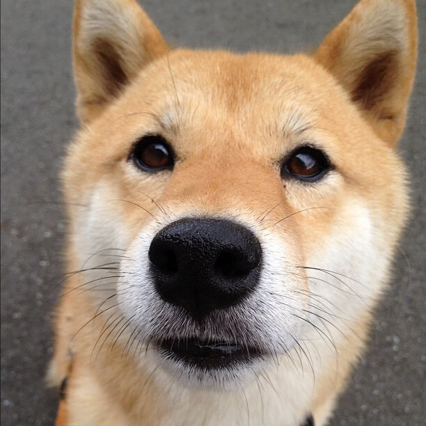 爱游戏娱乐-法甲决胜瞬间，球员展示斗志，法甲的比赛