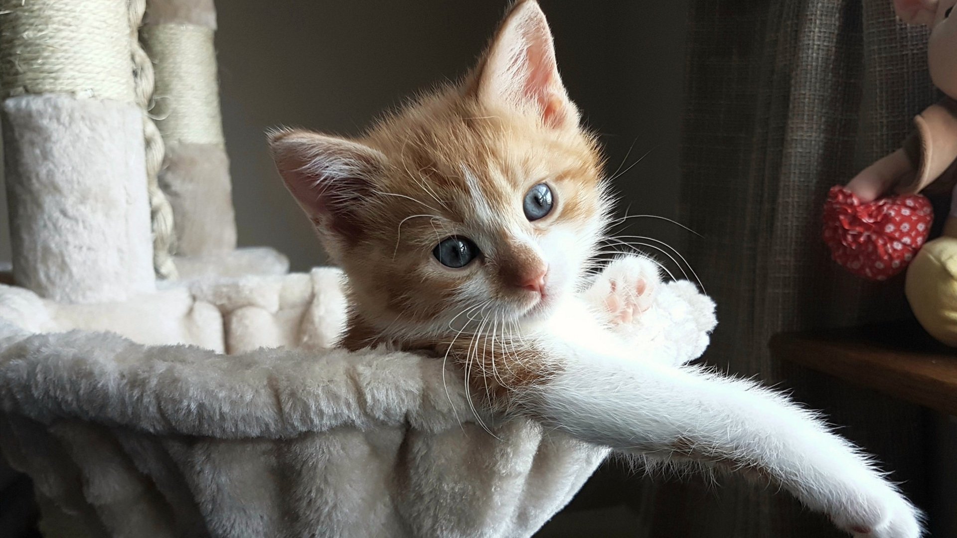 特色足球场馆获多项国际安全环保认证，行业绿色发展，足球场设施