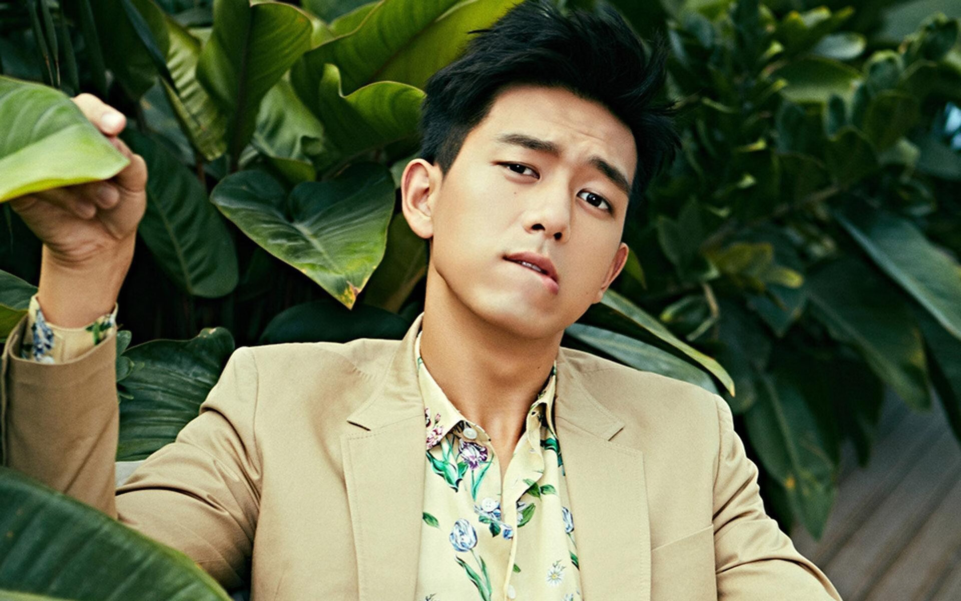 KPL直播观看人数再创新高，kpl最高观看人数