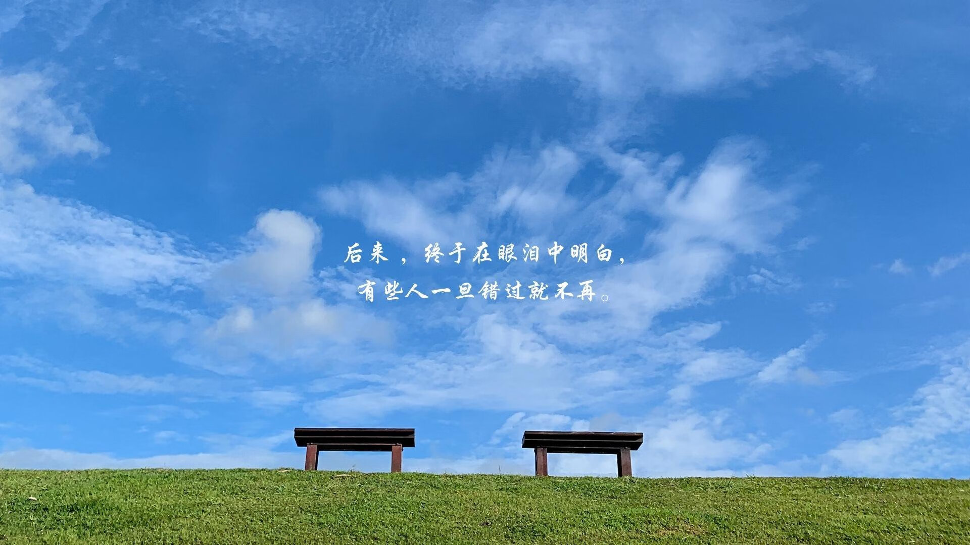 赛场与城市景观的完美融合,赛场与城市景观的完美融合的句子