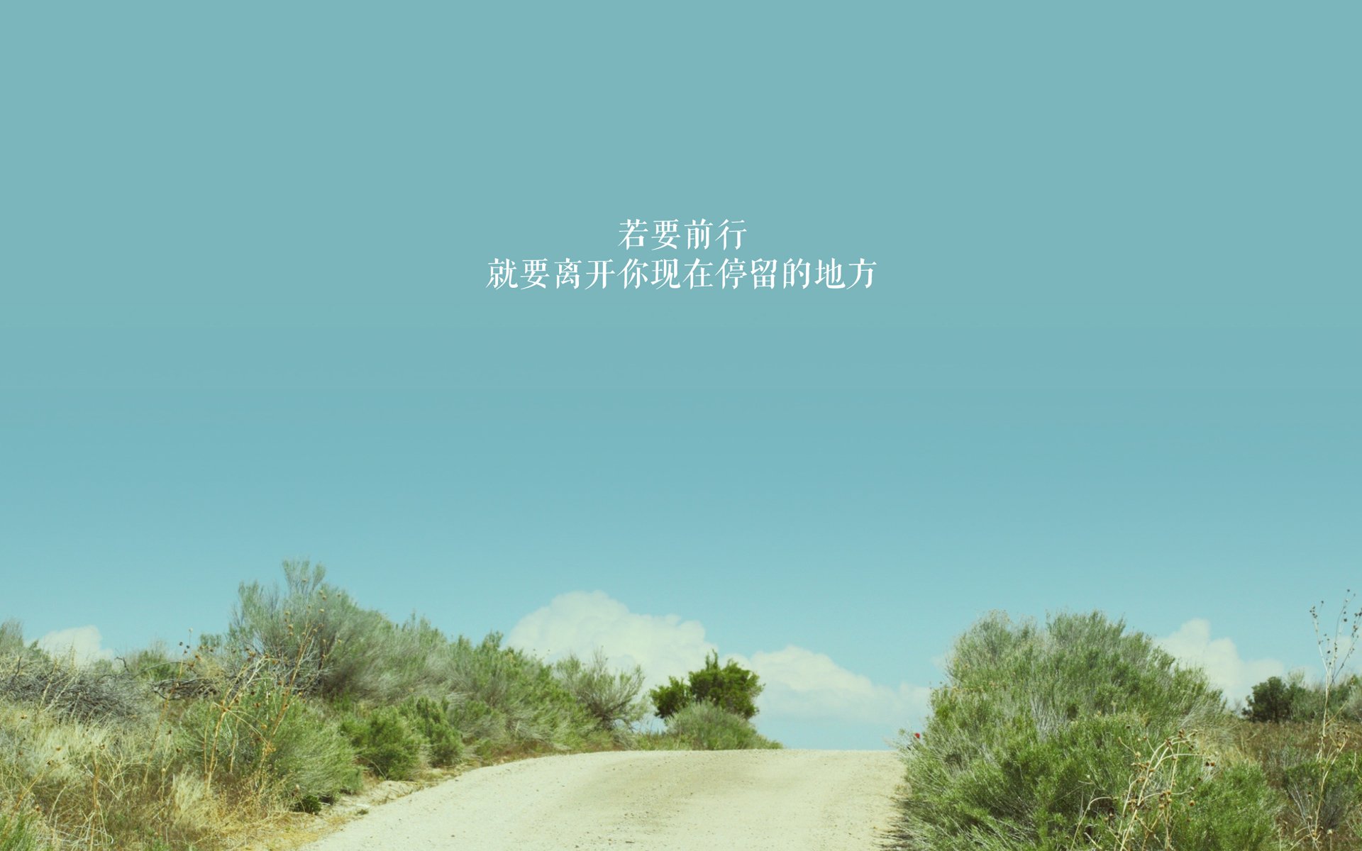 布莱克本中场压迫强硬，蓝白军团剑指附加赛，布莱克本ds