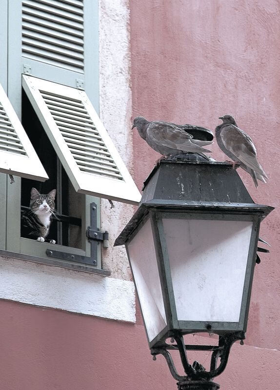 强强对话！国内顶级足球盛事引发热议，中国足球顶级联赛总排行榜
