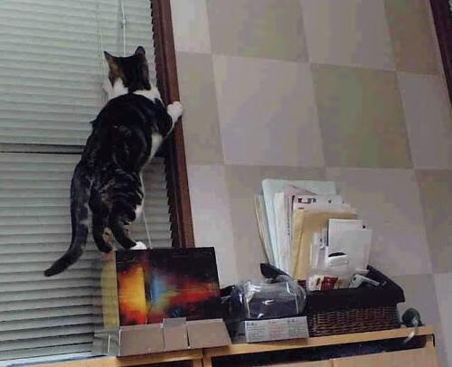 爱游戏app-东契奇赛季数据再创新高，东契奇这个赛季数据