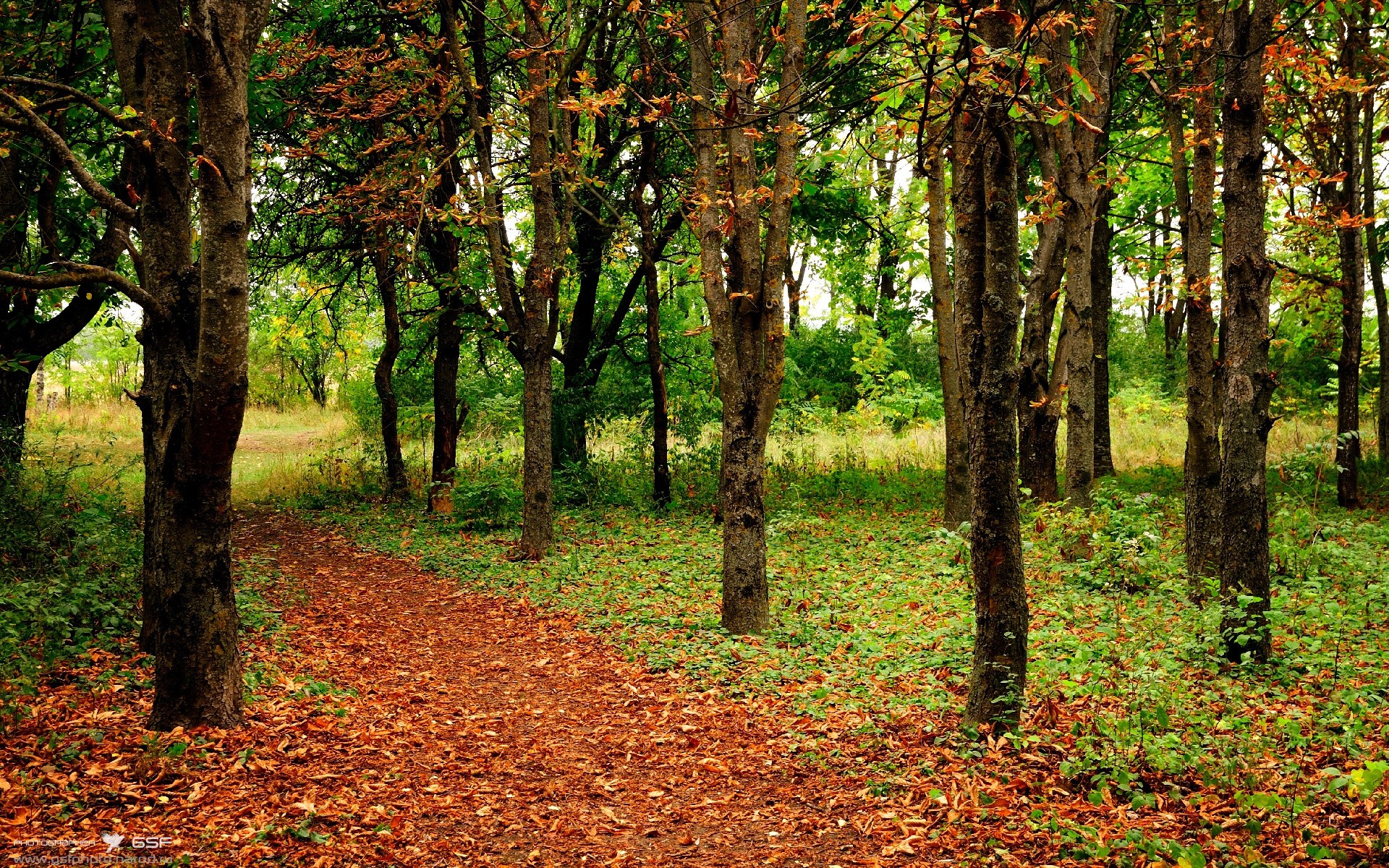 爱游戏app下载-法国顶尖球队实力强大，让球迷心情高涨，法国著名球队叫什么名字_
