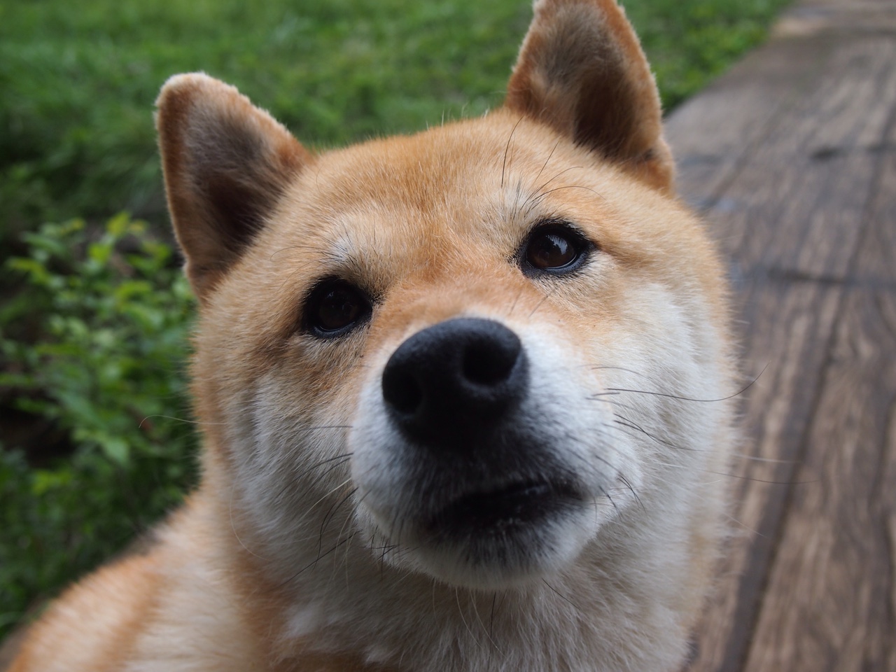 云南翡翠队主场不敌广州王朝队，遭遇两连败，云南翡翠商会