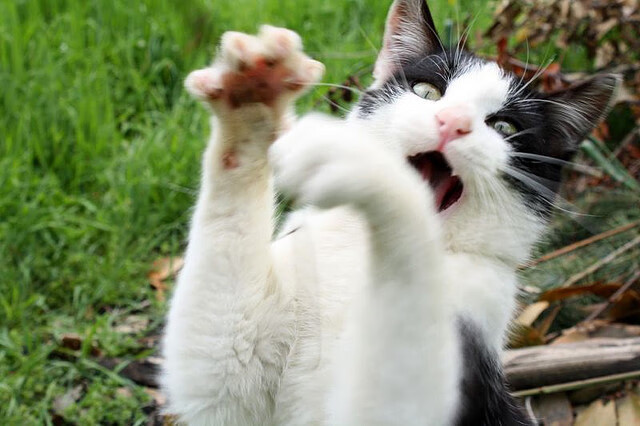 爱游戏平台-球队换帅风波不断，对战绩影响尚不明确，足球换帅