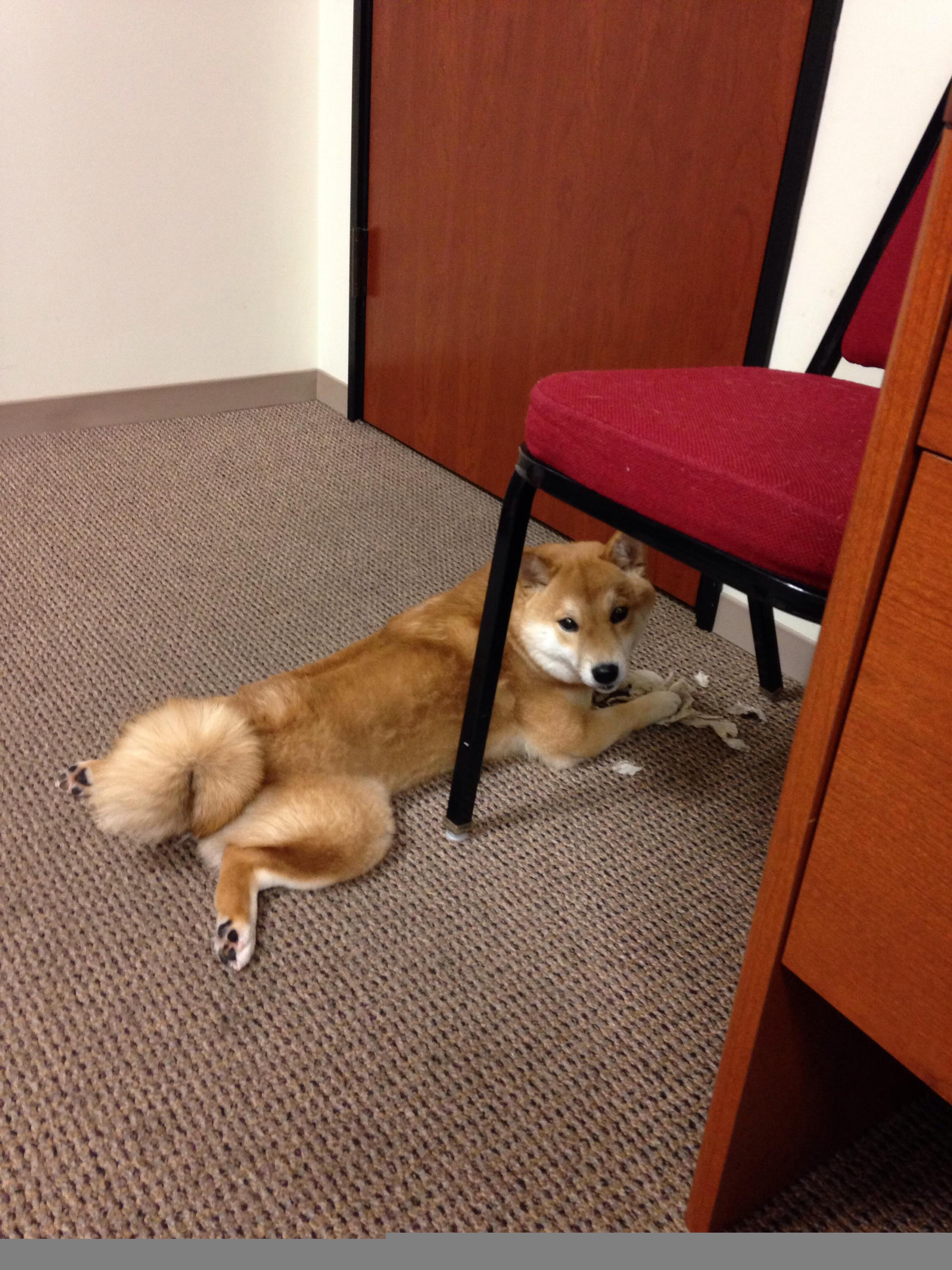 利物浦客场大胜，成功晋级欧冠半决赛，利物浦挺进欧冠决赛