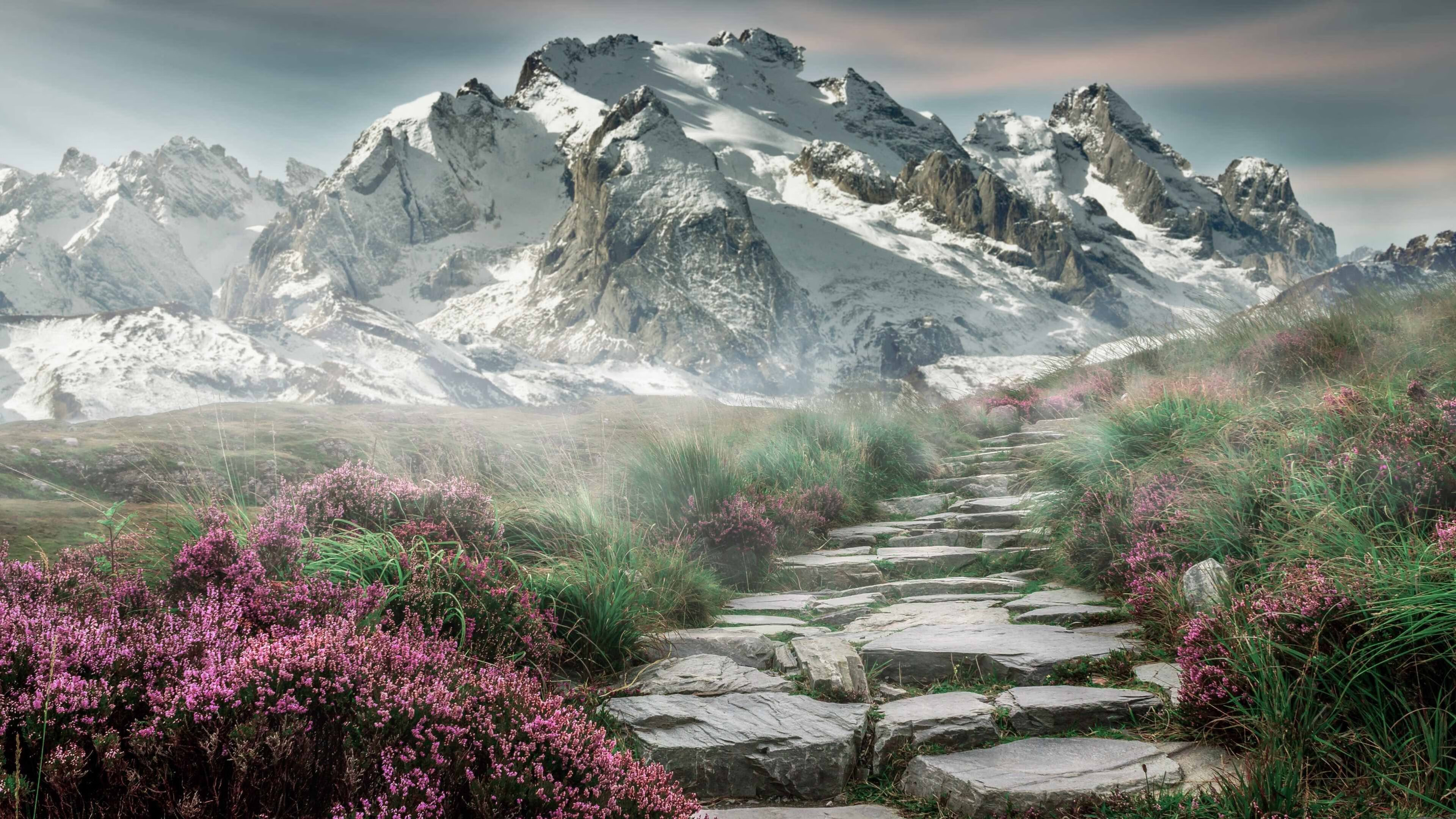 AYX GAME-足球运动普及是否受场地限制影响，足球场地使用年限和标准