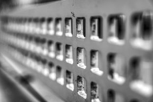 爱游戏体育-高校运动训练科学管理模式创新实践，运动训练科研管理工作要求