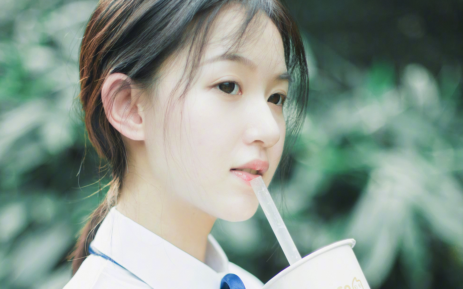 挪威队主力受伤,备战世界杯陷入困境,挪威队世界排名