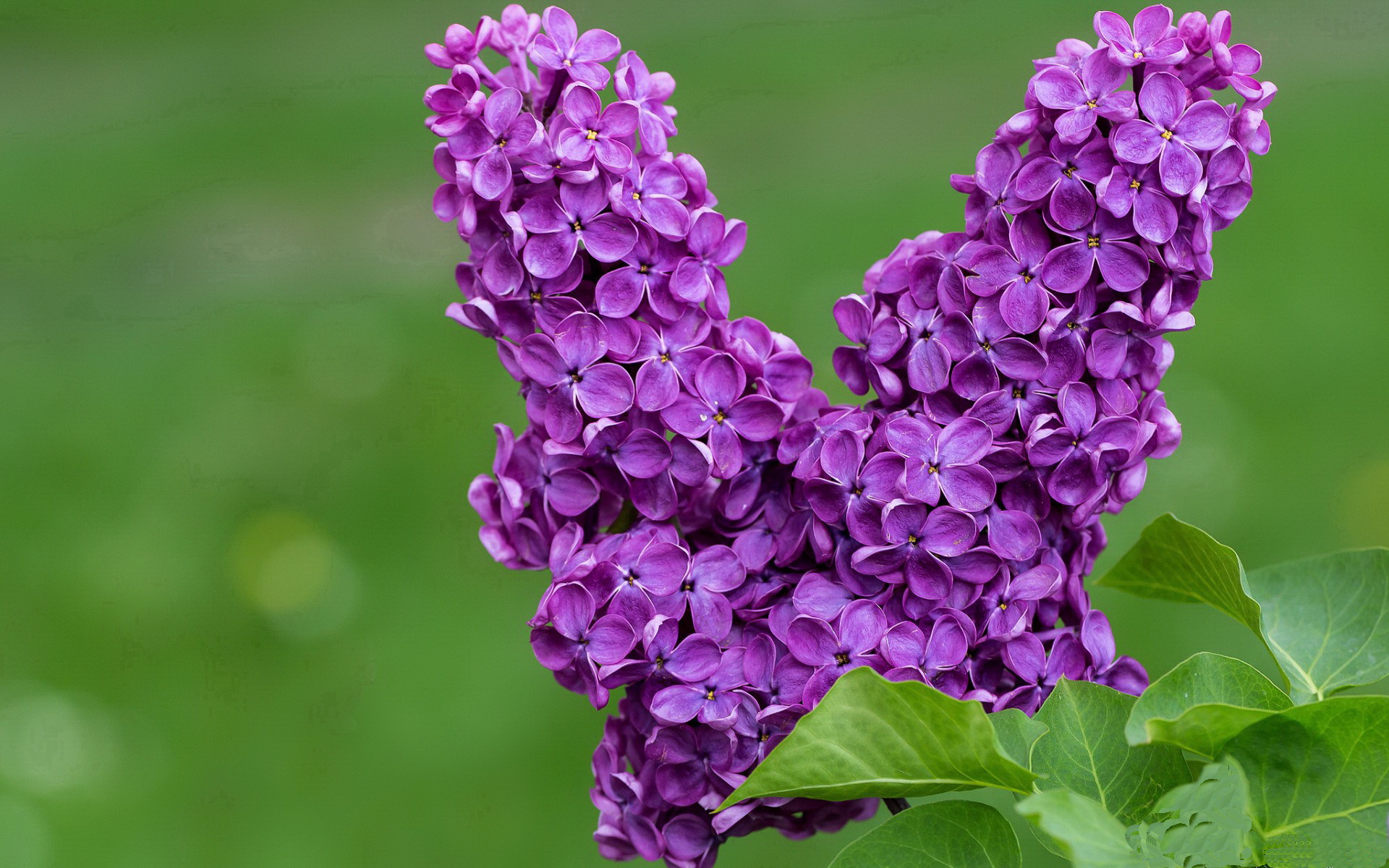 替补球员异军突起,成为本赛季最大惊喜,替补球员意义的重要性