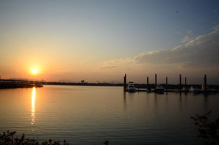 爱游戏-千帆竞发，轻艇马拉松点亮湖滨赛场，赛艇马拉松多少公里