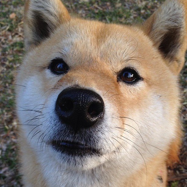 俱乐部财务揭秘:豪门背后的人性和阴谋,俱乐部财务管理