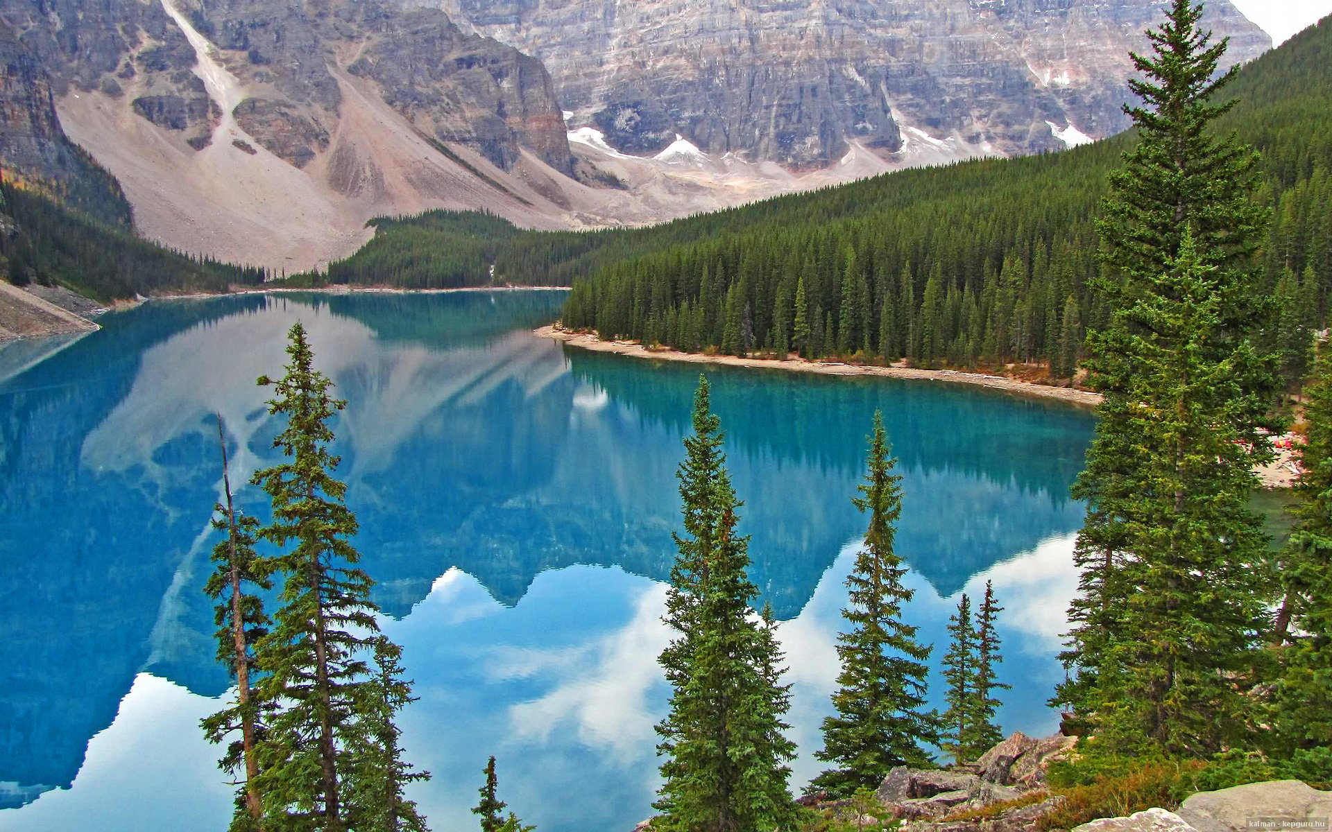 女足世界杯关注度激增，引发社会热议，女足世界杯扩军