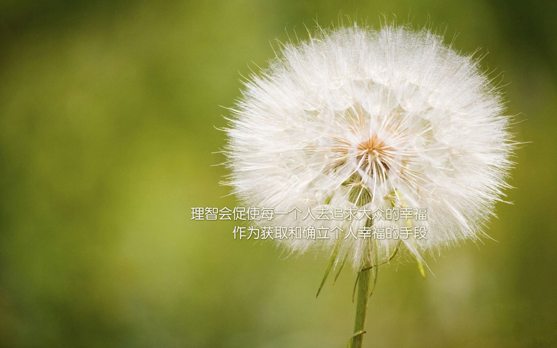 曼联中场组织能力被对手教练盛赞,曼联效力过的中场