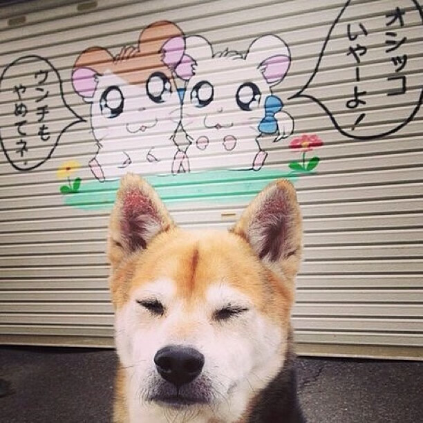 校园足球教练考核机制改革注重实践带训能力,足球教练考核标准