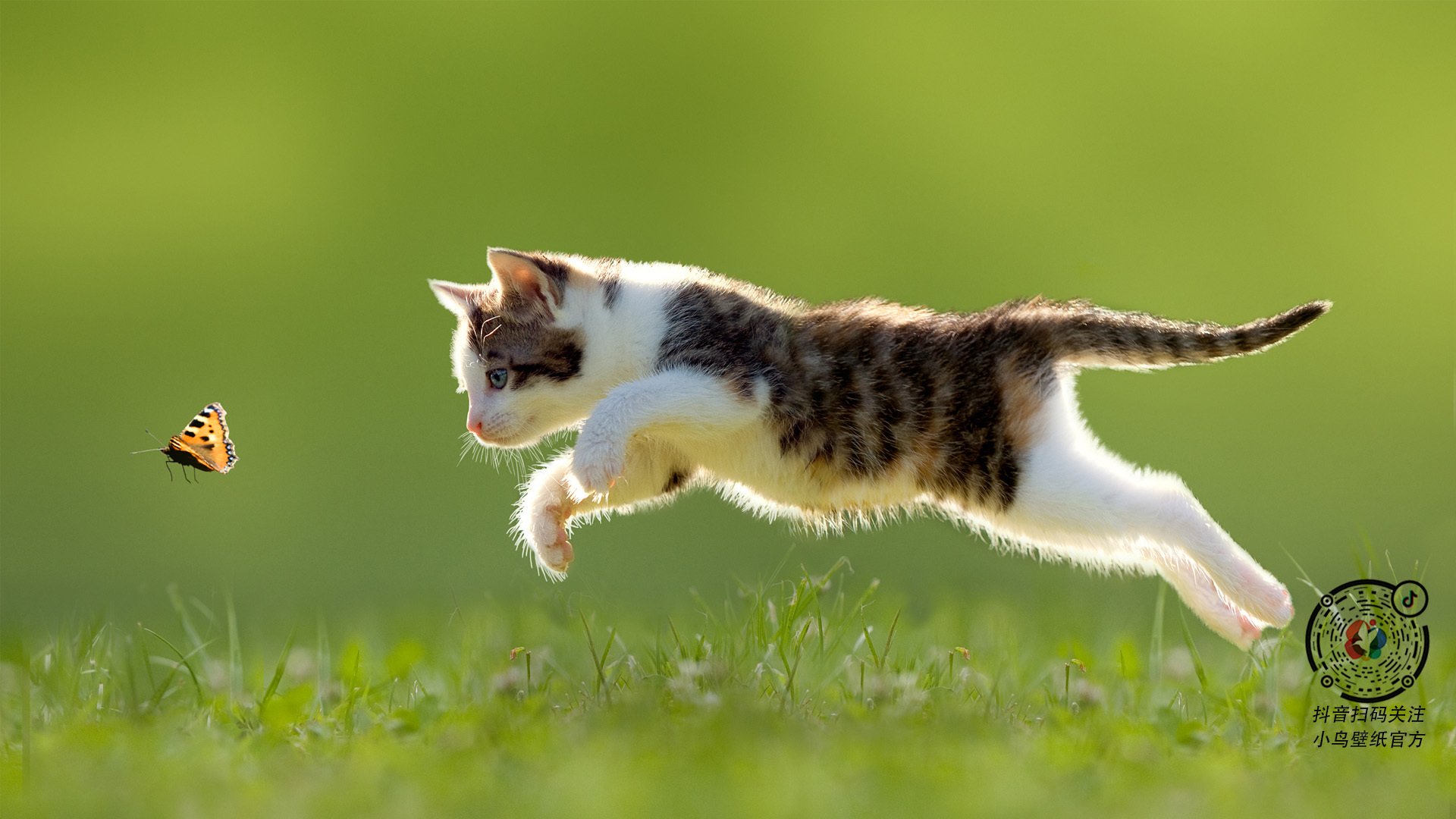 CBA季后赛山西龙狮横扫广东晋级半决赛,cba2021-2022赛季山西队