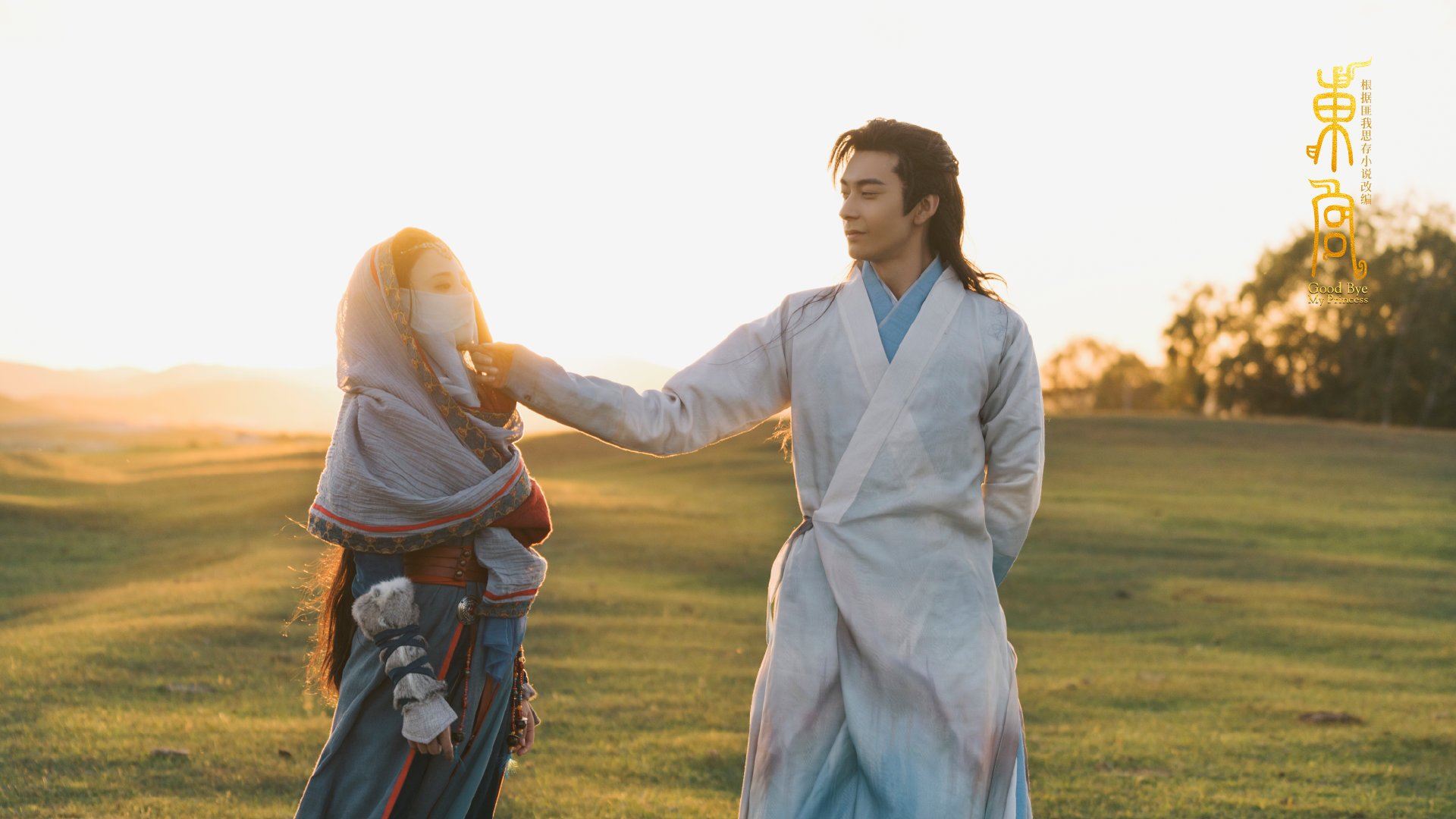 世界杯中国女足夺冠 球迷激情洋溢,中国女足世界杯亚军视频