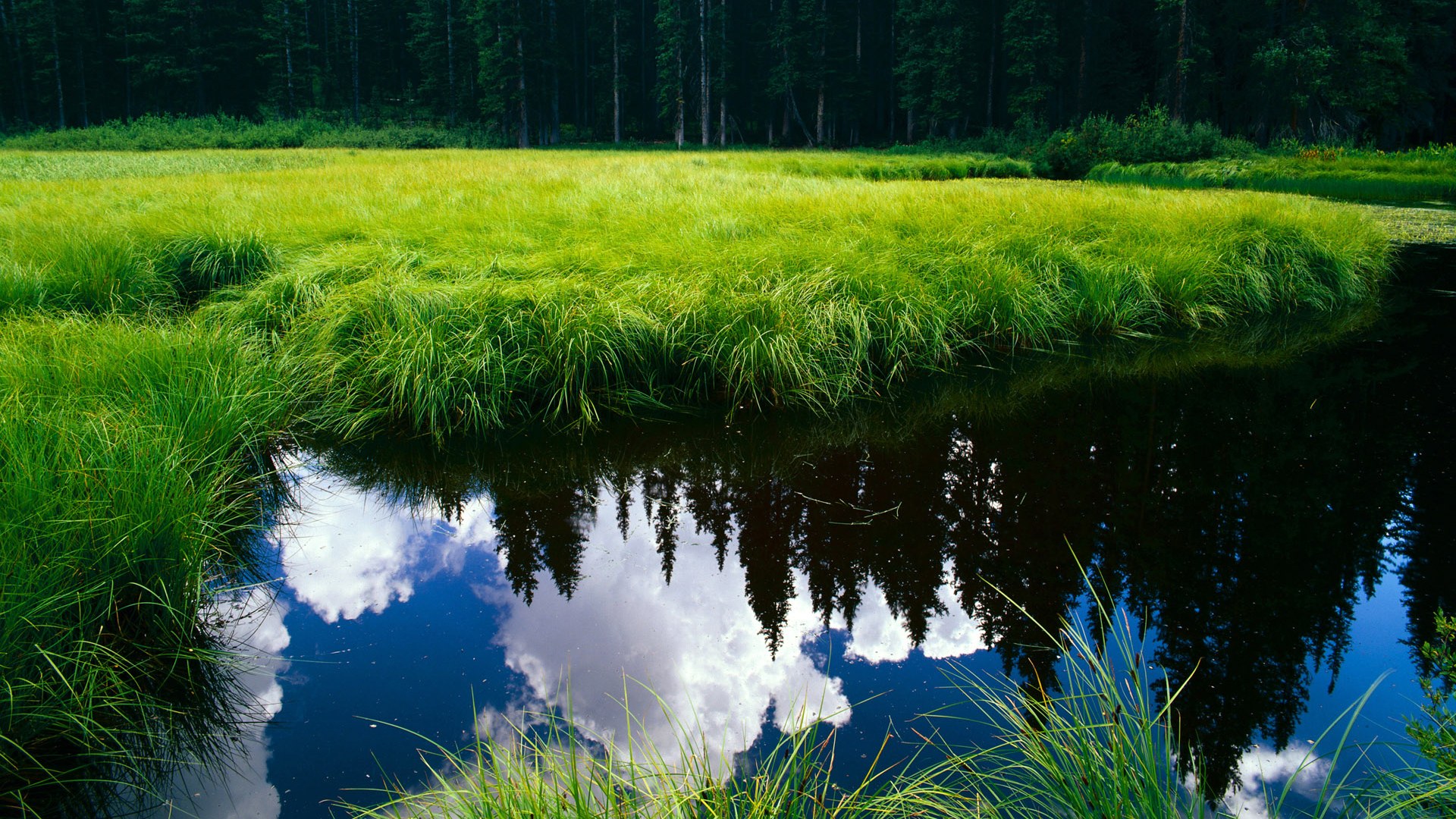 爱游戏体育APP下载-苏炳添参加赛事志愿者见面交流会，苏炳添参加接力吗