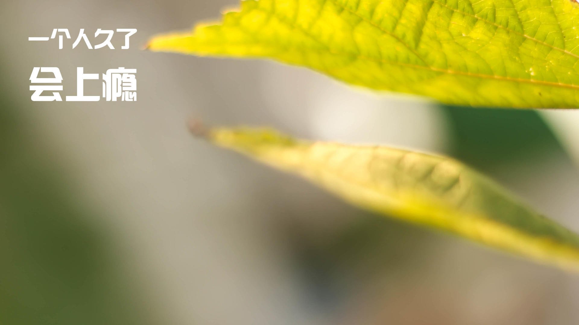 中国女篮实力提升明显,中国女篮实力剧增