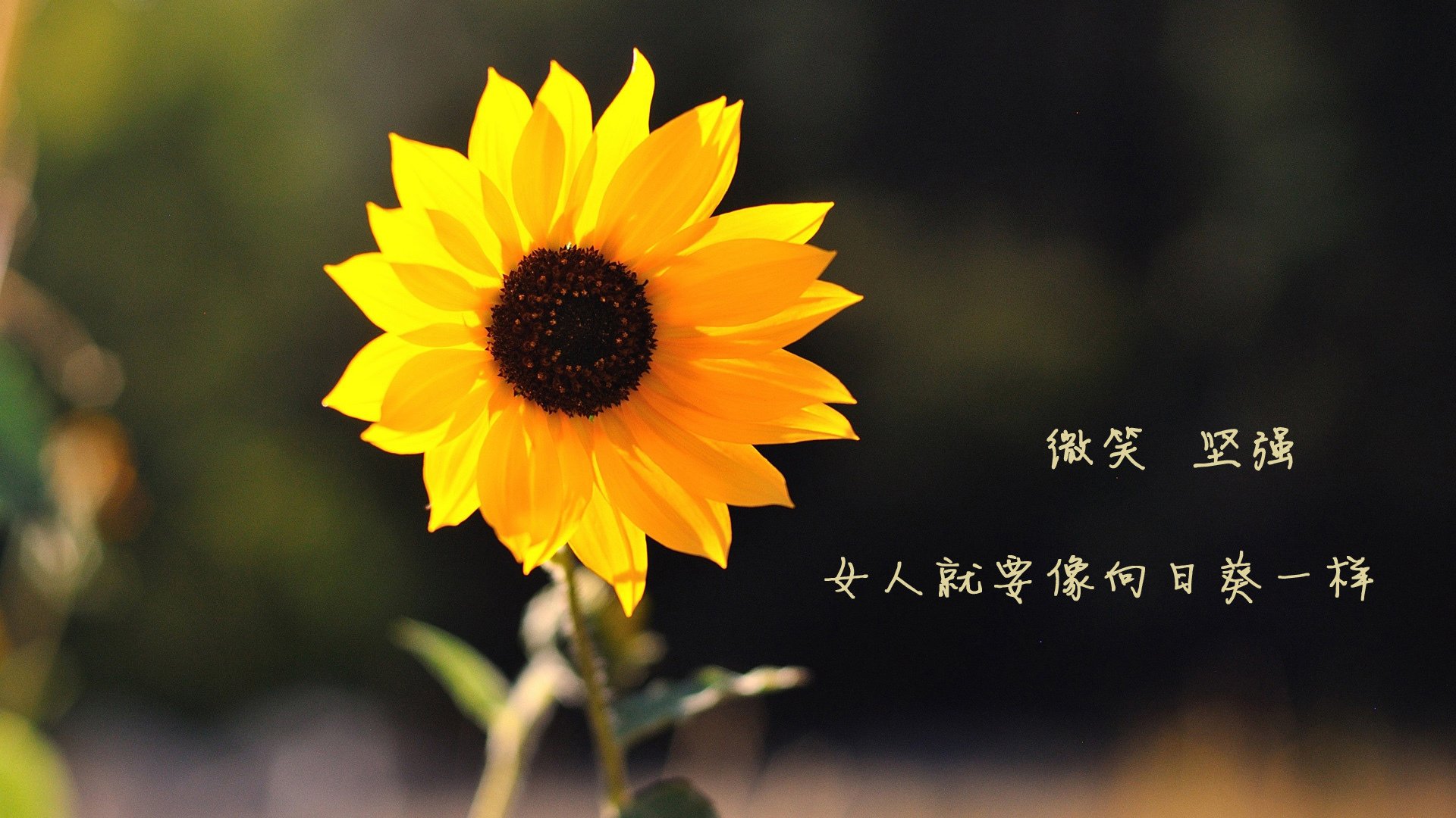 中国男篮精准控场打造稳定比赛节奏,中国男篮现役控卫排名